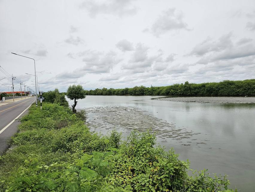 ประกาศขายที่ดิน สมุทรสาคร 44 ไร่ 3 งาน 68 ตารางวา 8