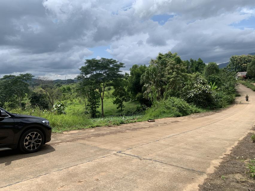 ที่ดินสวย ทำเลดี ราคาคุ้ม ยินดีให้คำแนะนำปรึกษาค่ะ 2