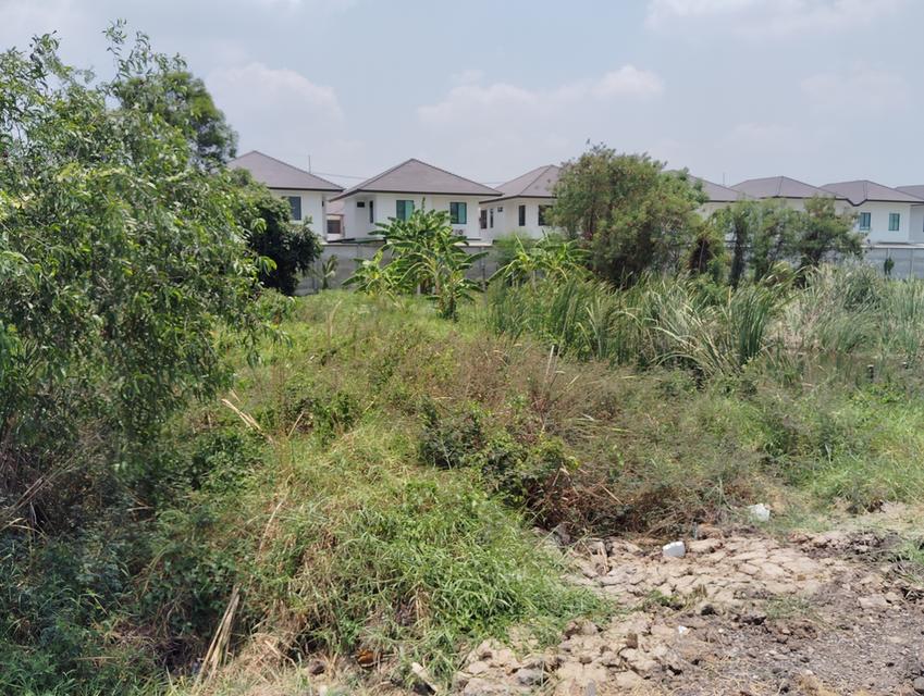 ขายที่ดิน 380 ตรว. ซอยบงกช 47 คลองสอง คลองหลวง หน้ากว้าง 30 เมตร ลึก 50 เมตร อยู่ในซอยบงกช 47 9
