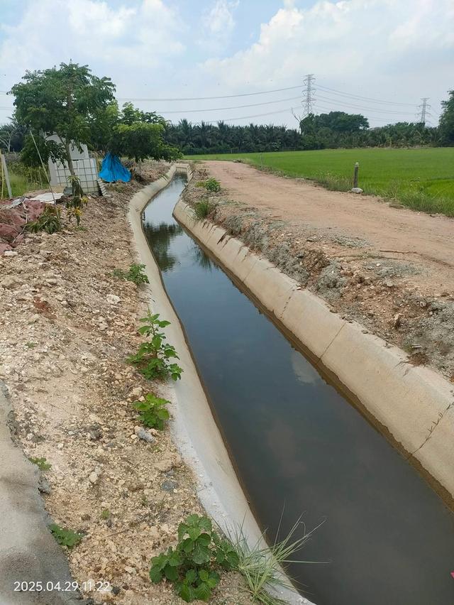 ที่ดินทำสวนฝรั่ง จ.ราชบุรี 10