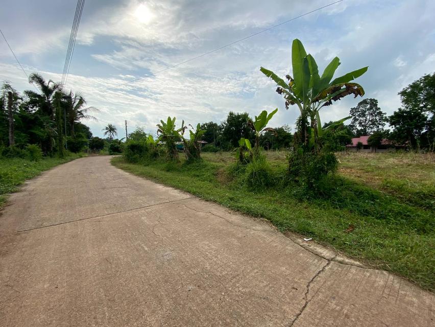ขายที่ดิน 2