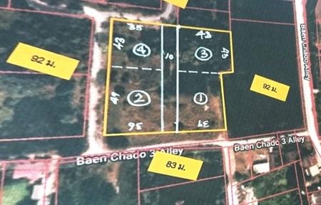 ขาย ที่ดิน ซอยแบนชะโด 3 คลองสามวา มีนบุรี 375 ตร.วา เหมาะทำโกดัง ฟาร์มผัก บ้านพักอาศัย 3