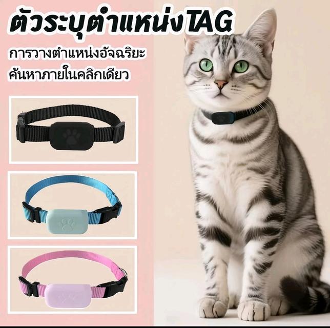 อุปกรณ์ติดตามน้องแมวน้องหมา
