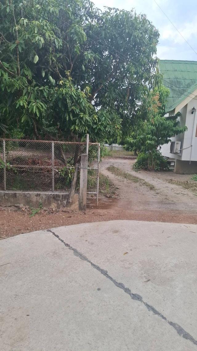 ขายที่ดินพร้อมบ้าน อ.เมือง จ.ลำพูน 7