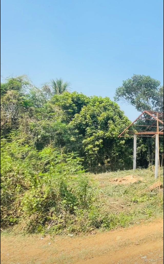 ขายถูกที่สุด ที่ดิน108ตรว.พร้อมโครงสร้างเสา15ต้น 2