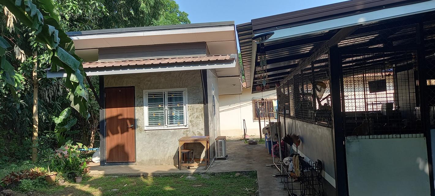  บ้านเดี้ยว3ห้องนอน1ห้องน้ำ(มีบ้านหลังเล็กกว้าง3×3ห้องน้ำ1ห้องแอร์1ตัว)โฉลดนส3. 4