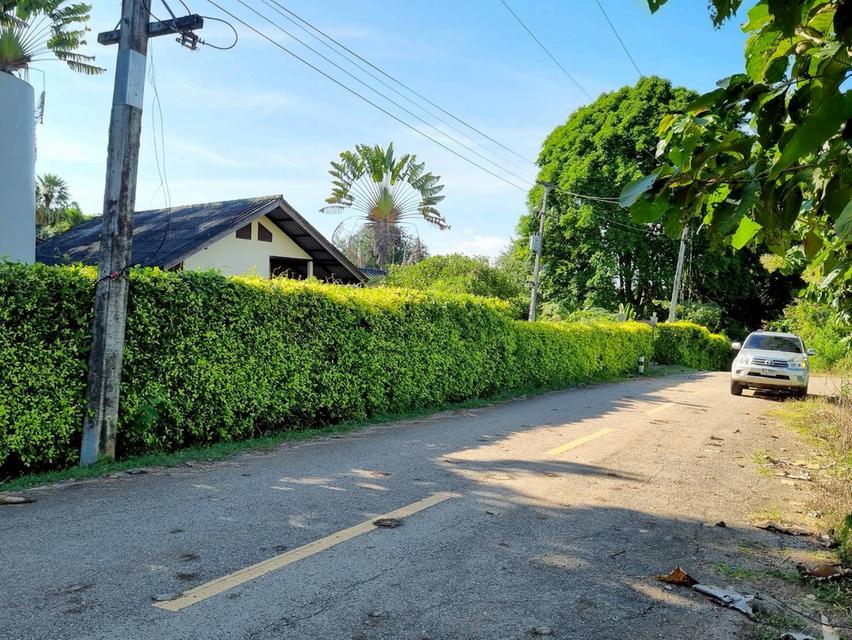 ที่ดินแปลงสวยติดเขื่อนศรีนครินทร์ 16