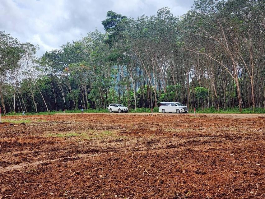 🏞️ ขายที่ดินแปลงสวย ราคาคุ้มค่า – เหลือเพียง 1 แปลงสุดท้าย!🥚ขนาด: 1 ไร่ 10 ตร.ว🏡ราคาเพียง 2,500,000 บาท 📍เอกสารสิทธิ์ โฉนดครุฑแดง 3