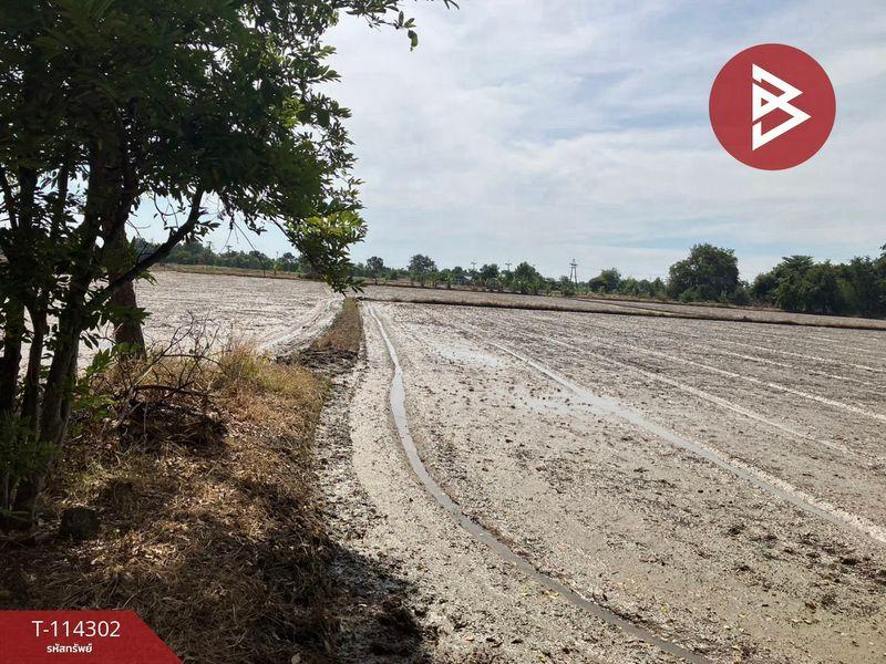 ขายที่นา เนื้อที่ 2 ไร่ อำเภอหนองแค สระบุรี 3