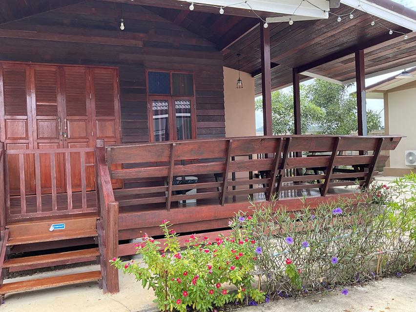 บ้านเช่า 2