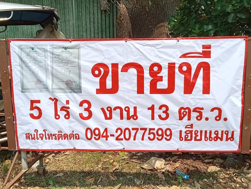 ขายที่ดิน 5 ไร่ 3 งาน 13 ตารางวา 1