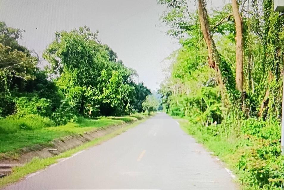 ที่ดินติดแม่น้ำลพบุรี ถมสูง ตั้งแต่ปี 2553  พื้นที่ 296 ตรว. 6