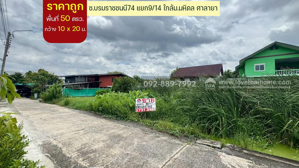 ขายที่ดิน ซอยบรมราชชนนี74 แยก9/14 พื้นที่ 50 ตรว. ราคาถูก ใกล้มหาวิทยาลัยมหิดล ศาลายา 1