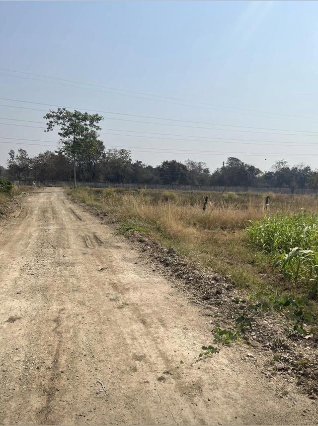 ขายที่ดิน 15 ไร่ ทำเลดี ติดกองบิน 4 ตาคลี เข้า ออกสะดวก น้ำไม่ท่วม 1