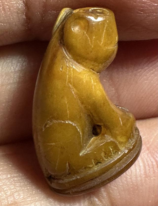 เสือเขี้ยวแกะ มีจาร รอบ 2