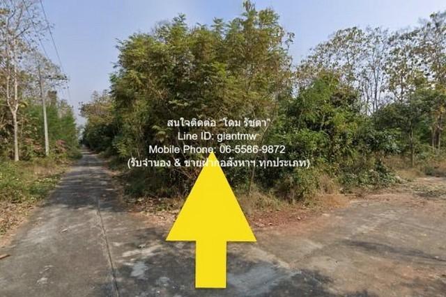 ที่ดิน ขายที่ดินเปล่าขนาดเล็ก (แปลงหัวมุม) 99 ตร.ว. อ.สันป่าตอง จ.เชียงใหม่ ราคา 600,000 บาท 600000 THB ไม่ไกลจาก ถนนสัน 8