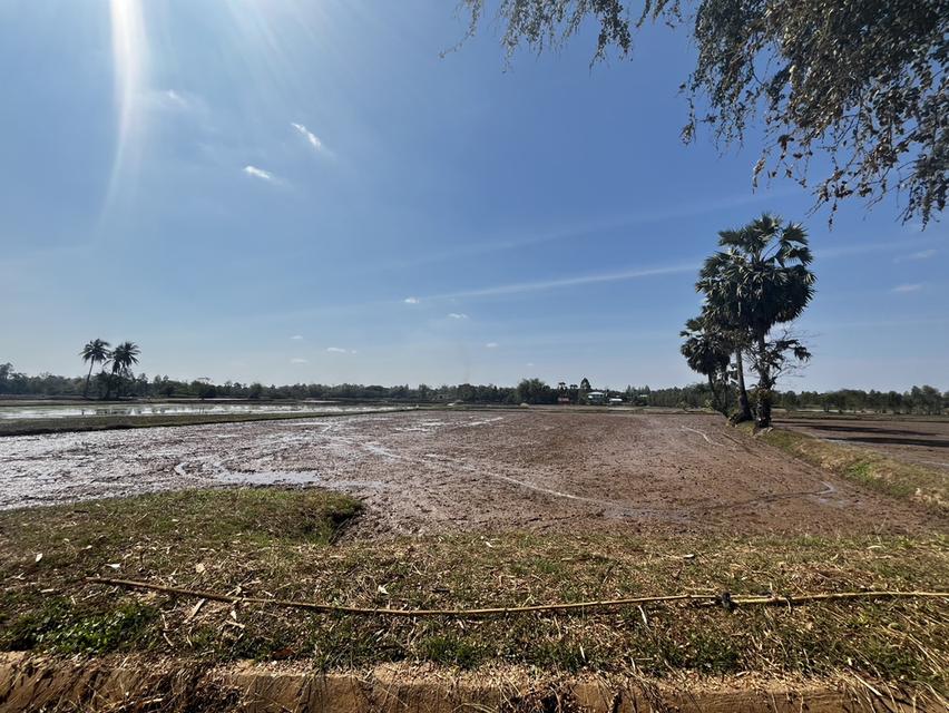 ขายที่นา 9 ไร่ ไม่ไกลจากตัวเมืองขอนแก่น 1
