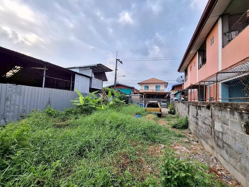 ขายด่วนที่ดิน 52 ตารางวา ติดถนนคอนกรีตสาธารณะ รังสิต-นครนายก ชอย 24 อ.ธัญบุรี จ.ปทุมธานี 7