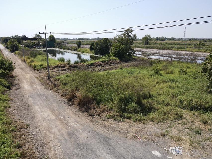 ขายที่ดินบึงน้ำรักษ์ 1 ไร่ คลอง10 ใกล้ถ.รังสิต-นครนายก305-1.2กม. อ.ธัญบุรี จ.ปทุมธานี 6