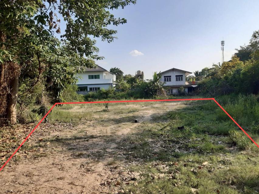 ขายที่ดินเปล่า เทศบาลเมืองศรีสะเกษ รูปย่อยที่ 2