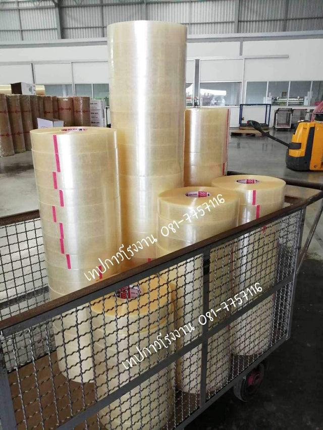 เทปปิดกล่อง 081-7757116 7