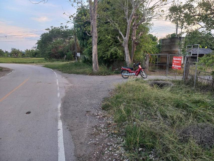 ที่ดินถมแน่นแล้ว 10 ไร่ ใกล้ชุมชนใหญ่ อ.เมืองลำพูน 18