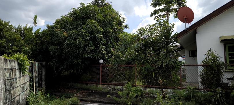 ให้เช่าบ้านเดี่ยวชั้นเดียว เนื้อที่ประมาณ 80 ตรว. หมู่บ้านกฤษดานคร 10 ถนน รัตนธิเบศร์ 3