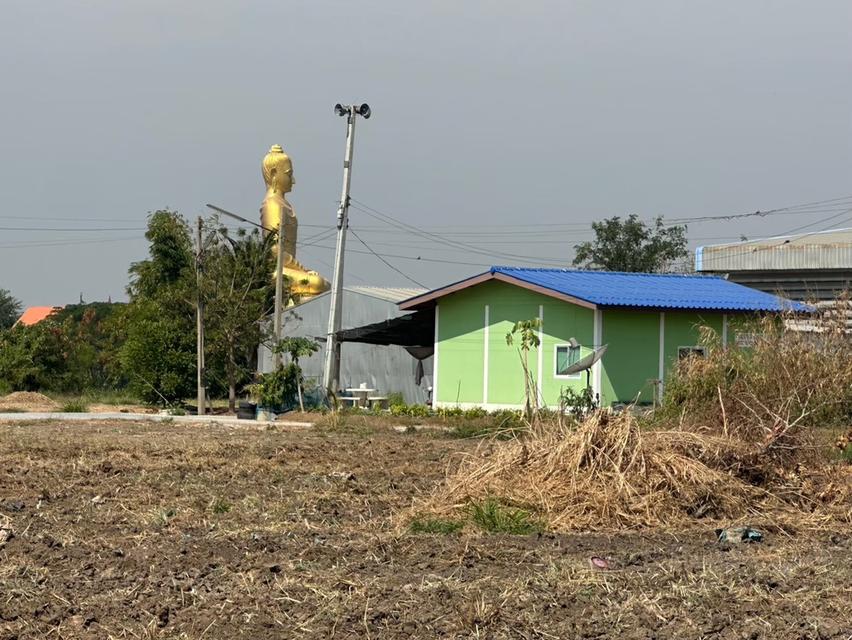 ที่ดินบางประหัน อยุธยา ติดถนนใหญ่ 3