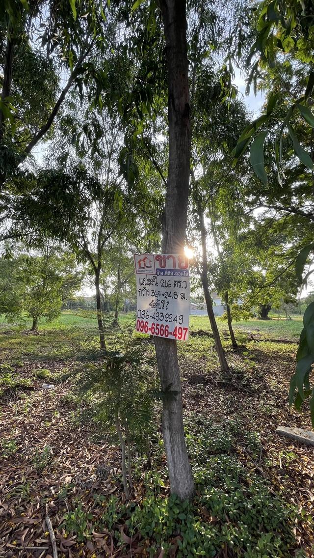 ขายที่ดินเปล่าเขตคลองสามวา โครงการ Forest Park