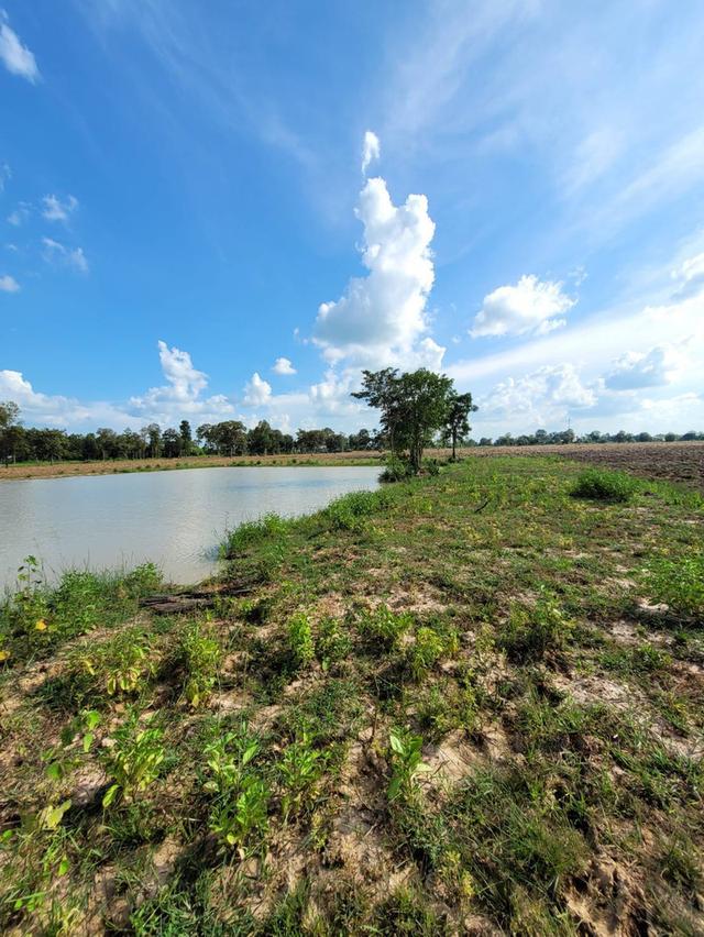 ขายด่วน ที่ดินผืนใหญ่ ติดถนนใหญ่ ทำเลดีมาก อ.เมือง บุรีรัมย์ พื้นที่ 110 ไร่ ราคาไร่ละ 2.2 ลบ. เจรจาได้ 6