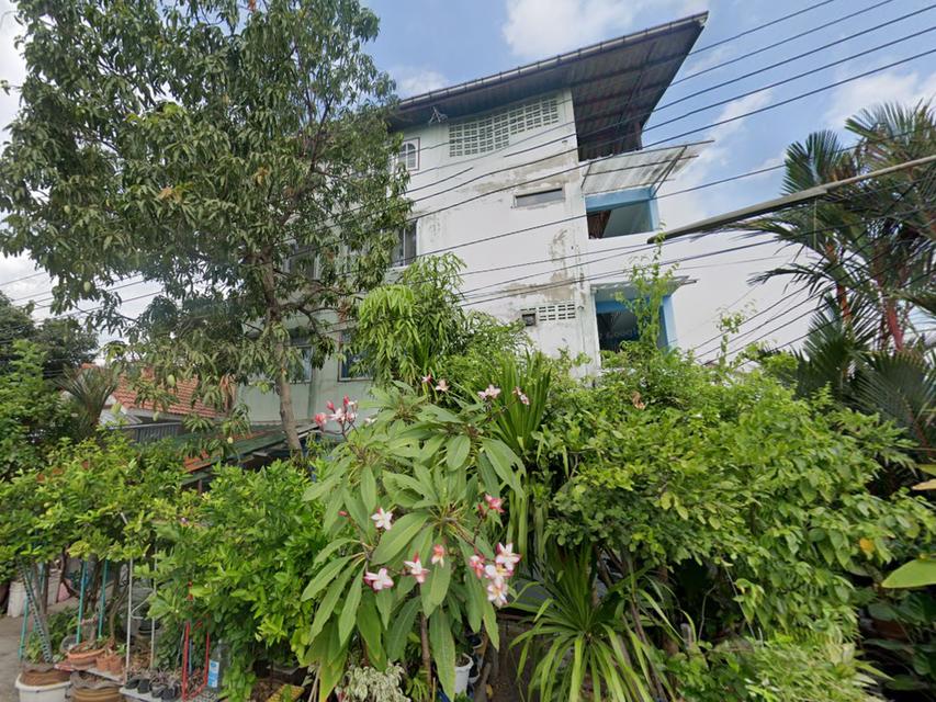 ขายบ้านเดี่ยว • ท่าข้าม พระราม 2 • 2 หลังติดกัน • พร้อมอาคาร 4 ชั้น • หลังใหญ่ พื้นที่เยอะ 6