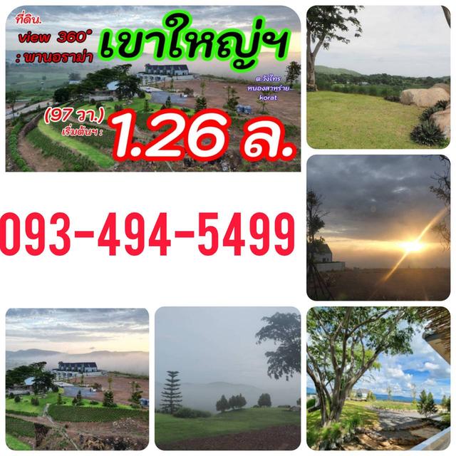 ขายที่ดินเขาใหญ่ บนเนินเขา *วิว360องศา เริ่ม 1.26 ล้านบาท (สูง 440 ม.)   อากาศบริสุทธิ์   อ.ปากช่อง จ.นครราชสีมา 19