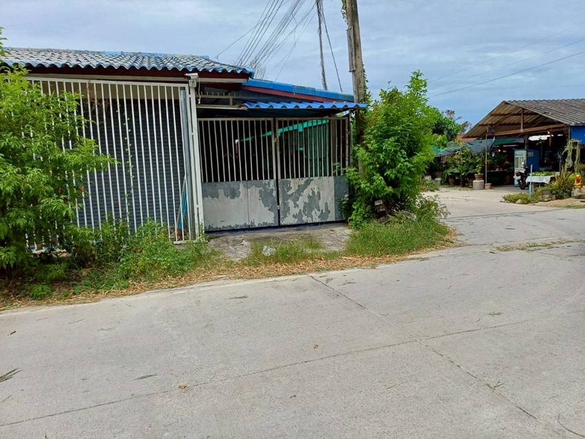 ขายที่ดินพร้อมบ้านและห้องแถว 4