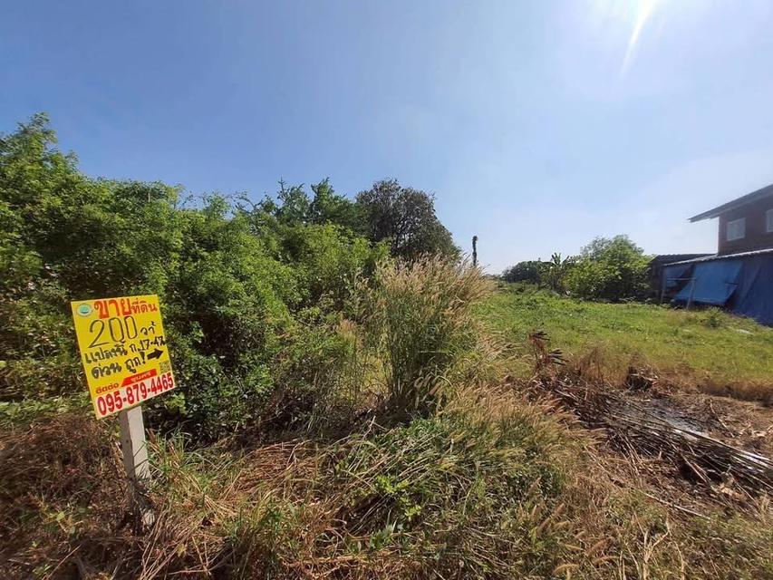 ขายถูก !! ที่ดินใกล้วัดราษฎร์นิยม 200 ตารางวาติดถนนสาธารณะ ถมแล้ว อ.ไทรน้อย จ.นนทบุรี 8