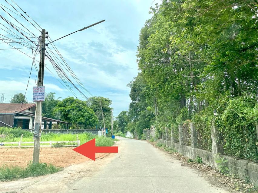 ขายที่ดินบ้านแลง 101 ตรว. ติดถนนคอนกรีตถมแล้ว ใกล้แยกบ้านแลง(ถนนเส้น36)-6กม. เมืองระยอง 2