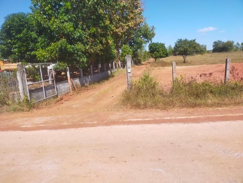 ที่ดินเปล่า