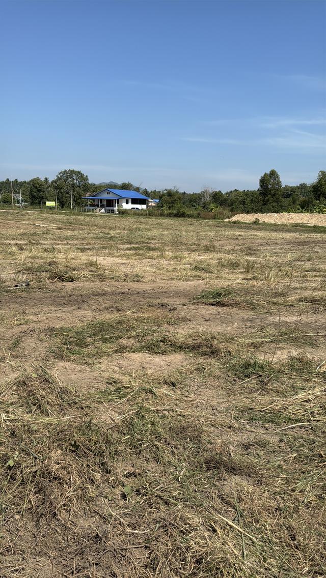 ให้เช่าที่ดินเปล่า ทำโกดังเก็บสินค้า 5