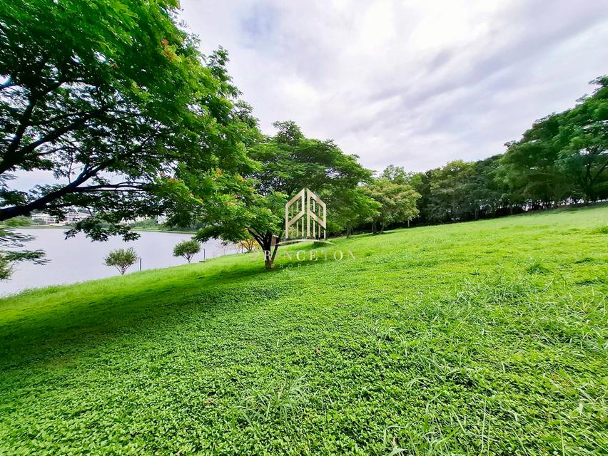 Lakefront Land – Prime Nature Villa ที่ดินริมทะเลสาบ – ไพร์ม เนเจอร์ วิลล่า 11