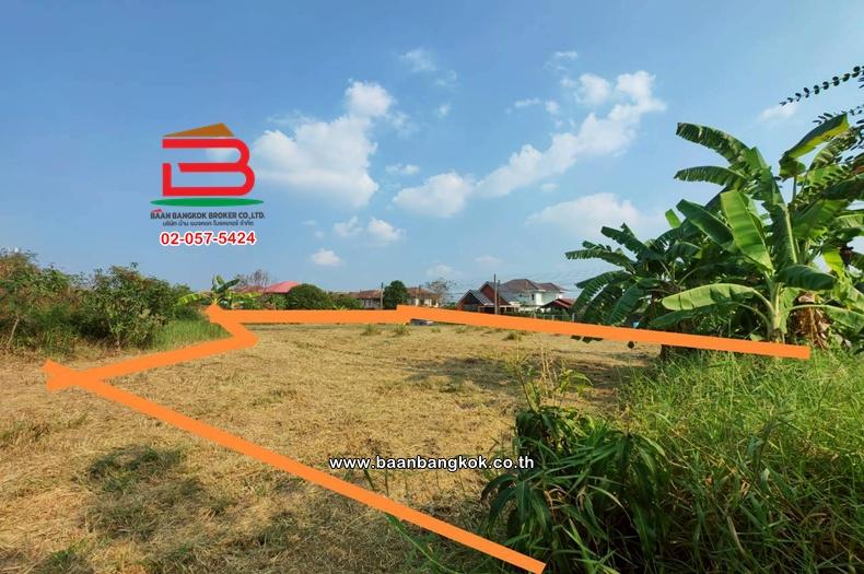 ที่ดินเปล่า เนื้อที่ 112 ตร.ว. หมู่บ้านเดอะลากูล 1-2 ถนนปทุมธานี-สามโคก-เสนา ตำบลท้ายเกาะ อำเภอสามโคก ปทุมธานี 5