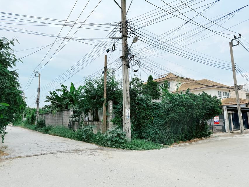 ขายที่ดิน เกษตร–นวมินทร์ ซ.ประเสริฐมนูกิจ 25 2