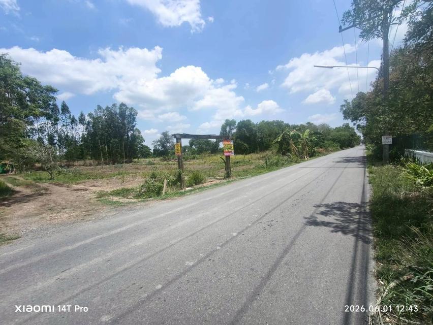 ขายด่วนที่ดิน 400 ตรว ติดถนนสาธารณะ ถมแล้ว ซ.คลองหก ตอ.26 คลองหลวง ปทุมธานี 5