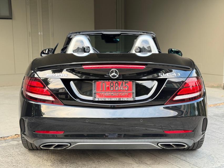 Slc43  AMG 8