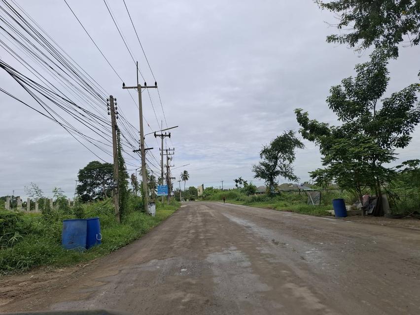 ขายที่ดินนครปฐม ถ.มาลัยแมน ต.ลำพยา อ.เมือง ราคาถูกทำเลทอง 7