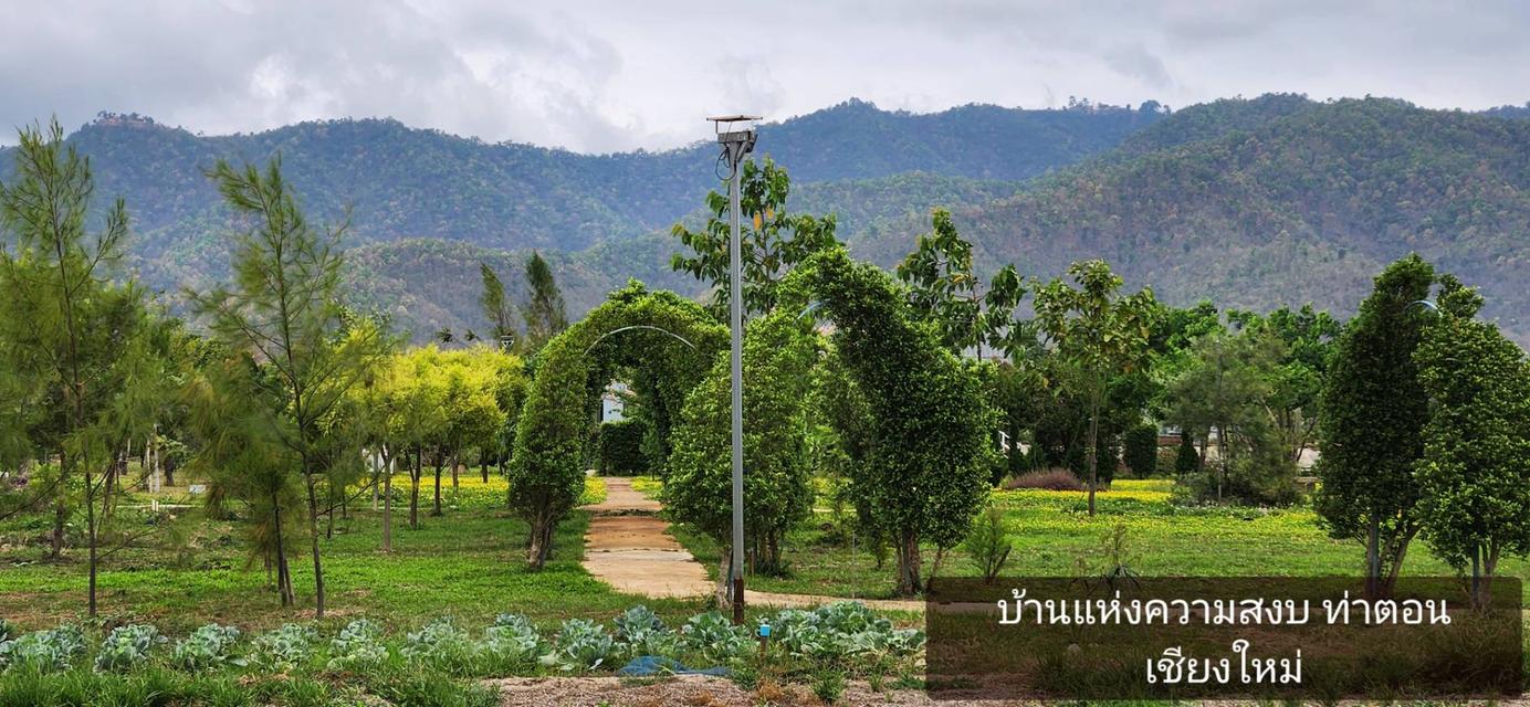 ที่ดินวิวเขา 4