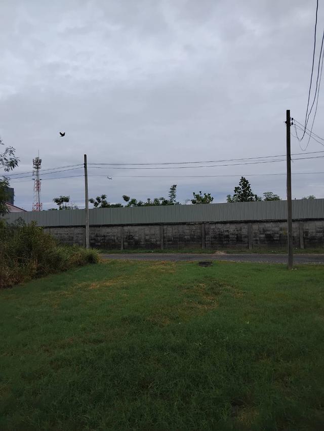 ขายที่ดินเปล่าราคาต่อรองกันได้ขายล้าน 7ทำเลดีตรงข้ามตลาดเรือบินแหล่งธุรกิจ 5