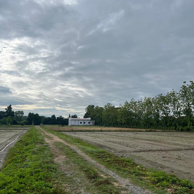 ที่ดิน เจ้าของขายเอง ปี 2569 4