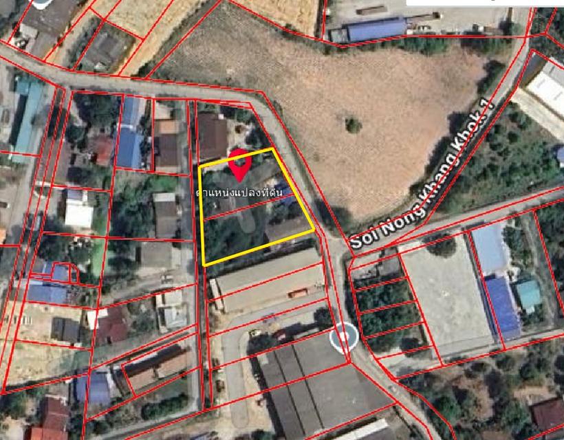 ที่ดินผังสีชมพู หนองข้างของ ชลบุรี 1