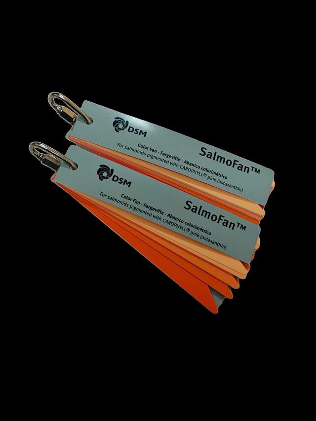 SALMO Color Fan – พัดสีมาตรฐานสำหรับเทียบสี รูปที่ 2