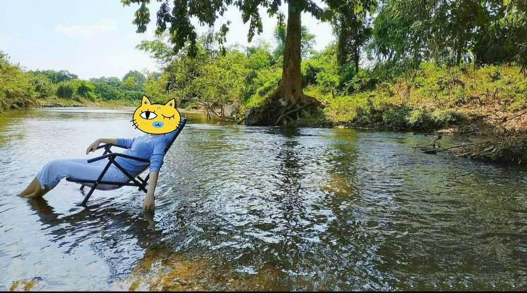 ที่ดิน 5 ไร่ บนดอยอินทนนท์ ติดลำน้ำแม่กลาง จอมทอง เชียงใหม่ ขนาด 5 ไร่ 2 งาน 42 ตร.วา (โฉนด) 6