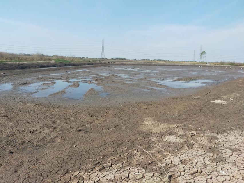 ต้องการขายที่ดิน ใกล้ทางด่วนบางปะอิน-โคราช  บางปะอิน  33 ไร่ 2 งาน 2 ตรว 6